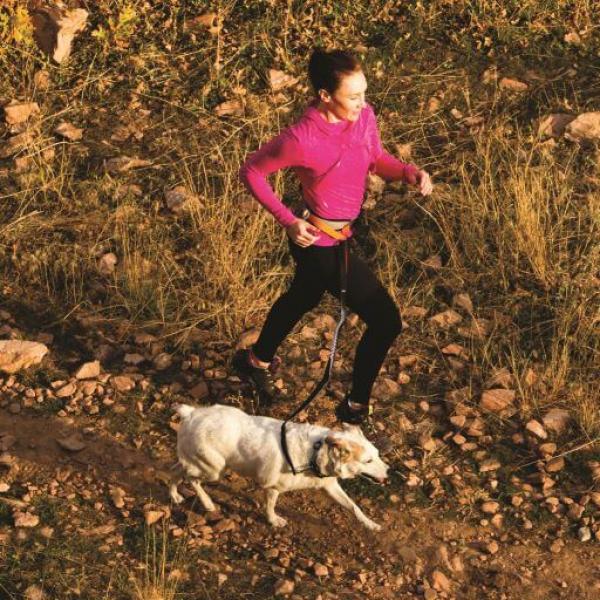 Kurgo Springback Leash Kurgo Springback Leash
